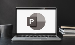 MS PowerPoint Essentials Training